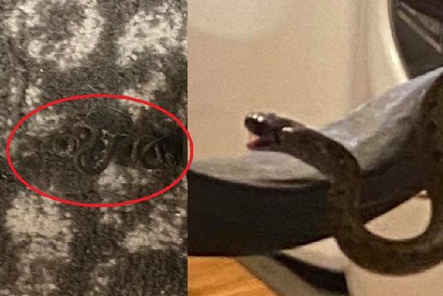 Thay ran chui gam giuong phong ngu, kiem tra phat hoang voi canh tuong ben trong