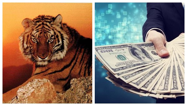 3 con giap nay kinh doanh 1 von 4 loi, tien kiem duoc khong dem xue