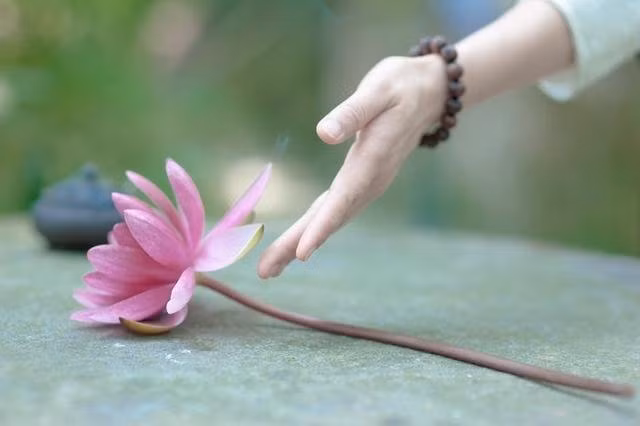 Biet su dung tot 5 mon qua troi ban nay thi may man se den-Hinh-2