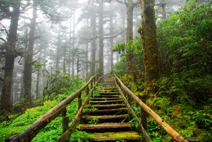 Tu Xuyen co mot khu rung cu he ai toi la nguoi dan lai lac dau