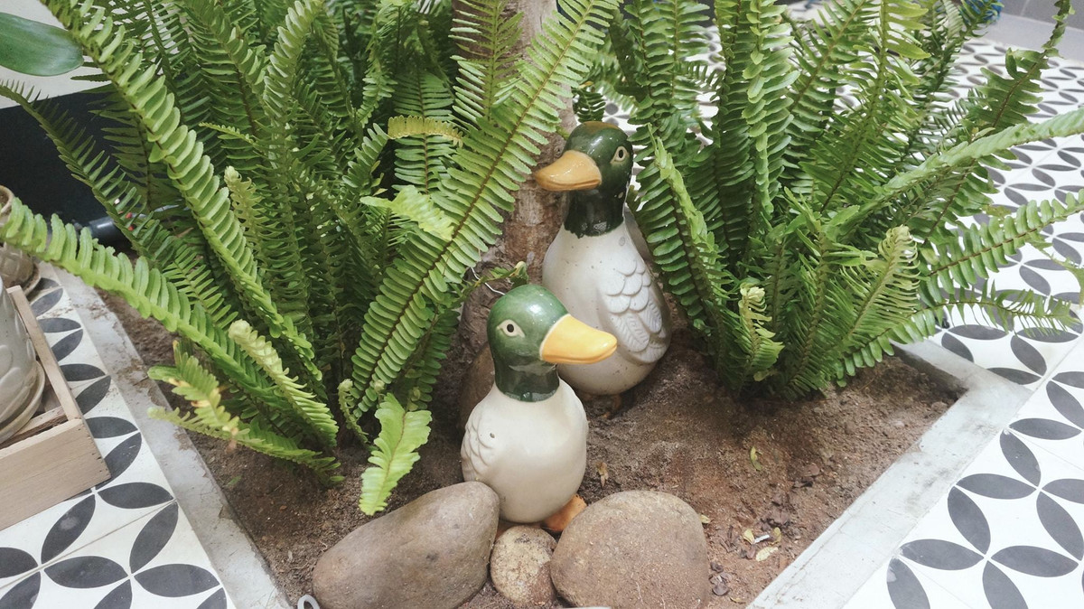 Nhà ống đẹp xuất sắc, ánh sáng rọi thẳng từ nóc xuống ảnh 11