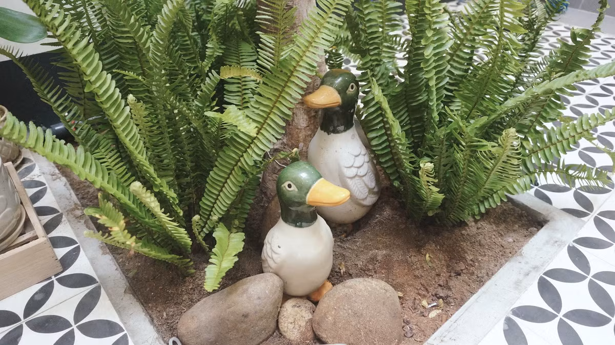 Nhà ống đẹp xuất sắc, ánh sáng rọi thẳng từ nóc xuống ảnh 11