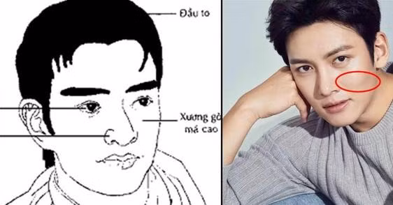 Dan ong co 1 trong 8 net tuong sau: Nhin vao la thay su nghiep thang hoa