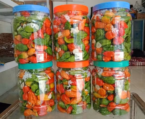 Ot rot gia re nhu cho, rieng loai nay van co gia cao ngat-Hinh-3