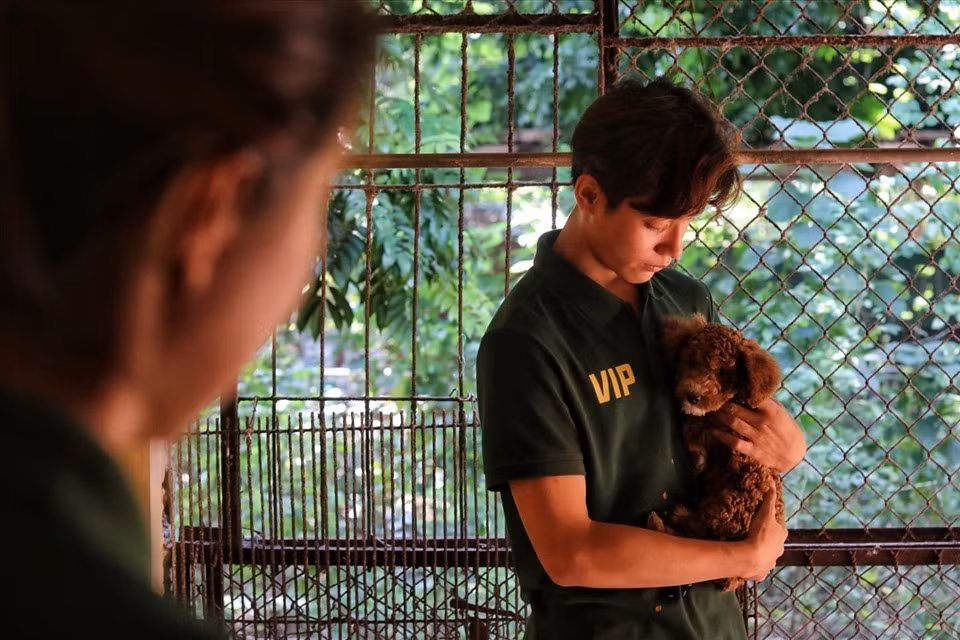 Dich vu huan luyen cho nghiep vu dat khach o Ha Noi-Hinh-4