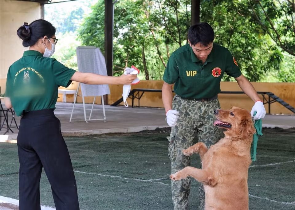 Dich vu huan luyen cho nghiep vu dat khach o Ha Noi