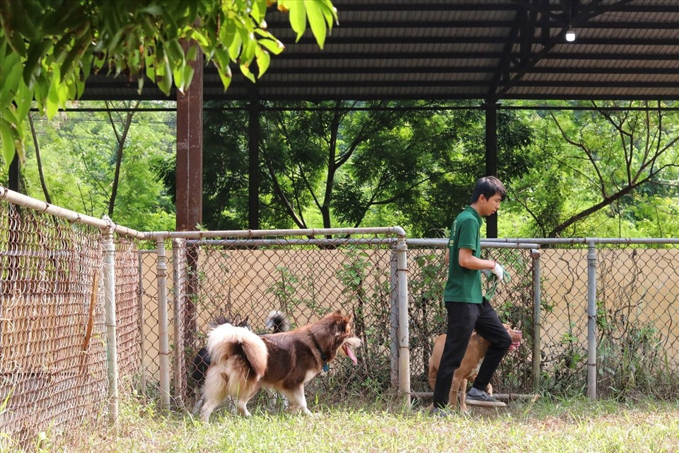 Dich vu huan luyen cho nghiep vu dat khach o Ha Noi-Hinh-6