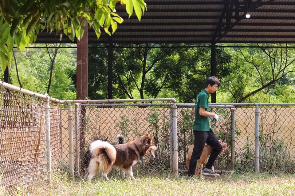 Dich vu huan luyen cho nghiep vu dat khach o Ha Noi-Hinh-6