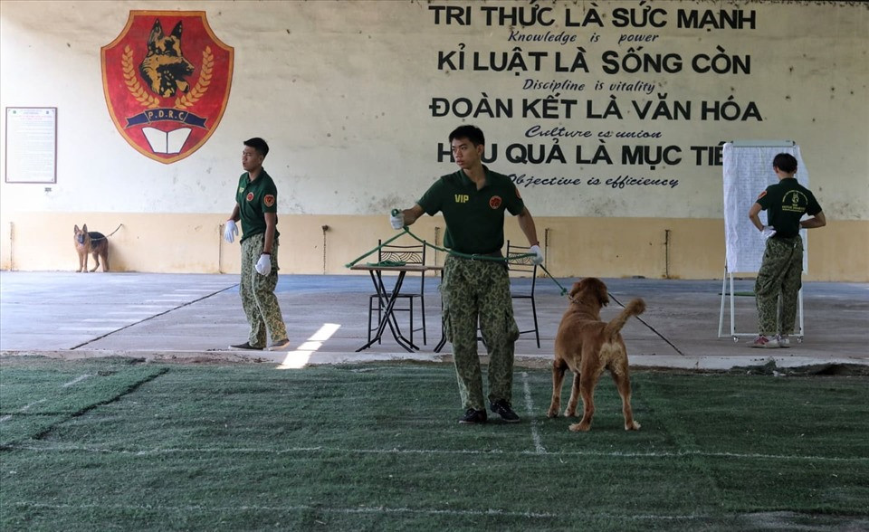 Dich vu huan luyen cho nghiep vu dat khach o Ha Noi-Hinh-3