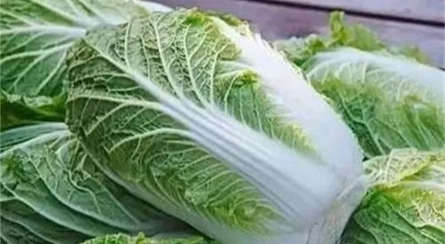 Mua cai thao, nen chon cay xanh hay trang se tot hon-Hinh-3