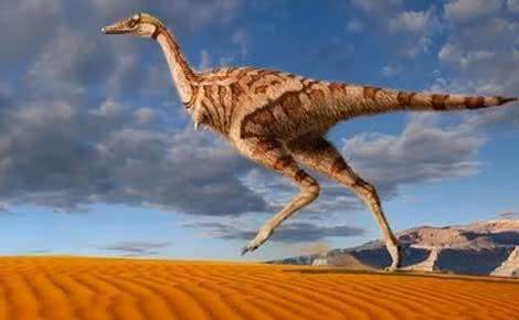 Phát hiện thấy khủng long ăn thịt mới ở Trung Quốc Phat hien thay khung long an thit moi o Trung Quoc