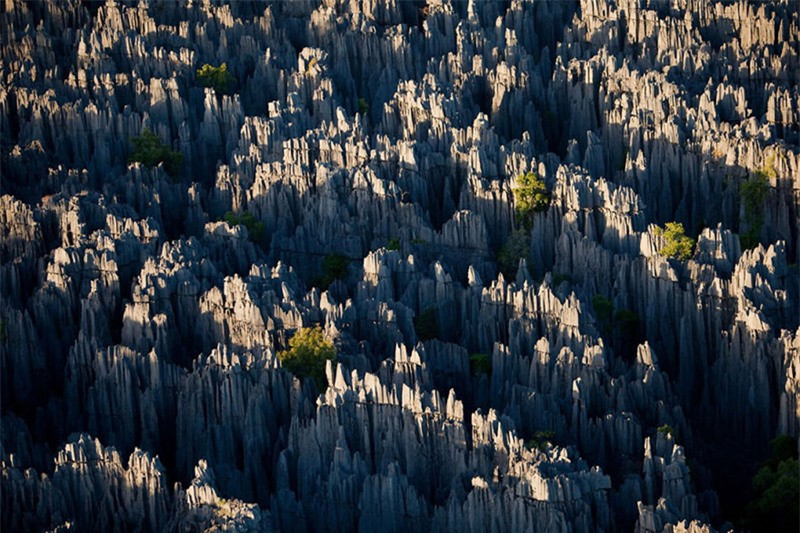 Rừng đá Madagascar với những mũi đá nhọn hoắt đã tạo nên khung cảnh kỳ vĩ cho khu vực này. Khu rừng rộng 666 km2 đã được UNESCO công nhận là di sản thiên nhiên thế giới vào năm 1990.