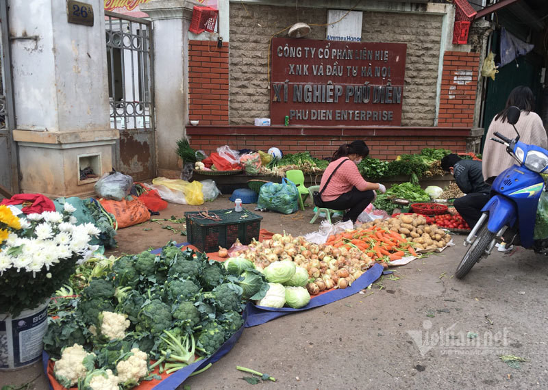 Gia rau xanh giam mot nua, do dong khong mot khach mua