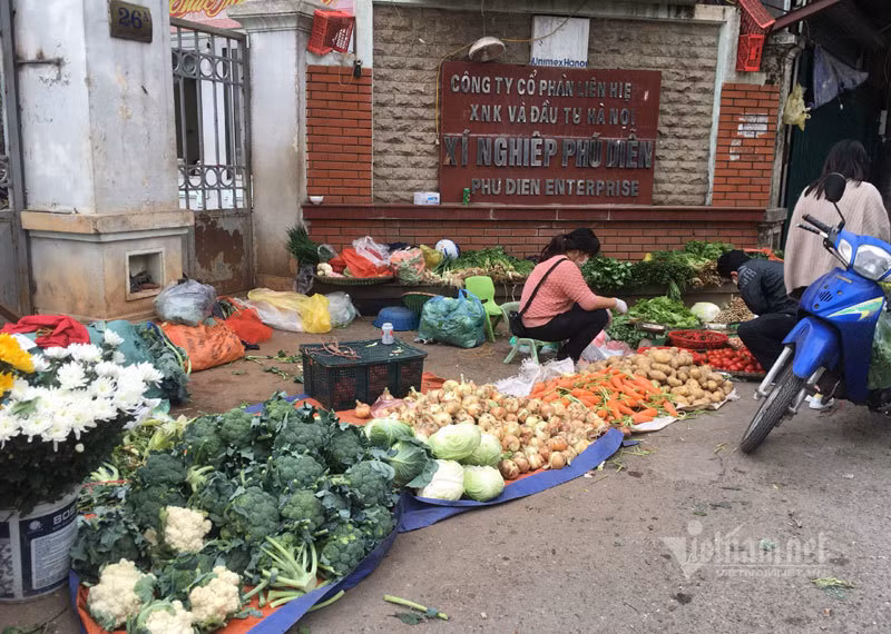 Gia rau xanh giam mot nua, do dong khong mot khach mua