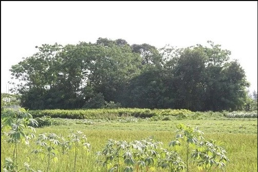 Bí ẩn phong thủy giúp dòng họ ở Hà Đông phát khoa bảng suốt 300 năm - Hình 2 Bi an phong thuy giup dong ho o Ha Dong phat khoa bang suot 300 nam-Hinh-2