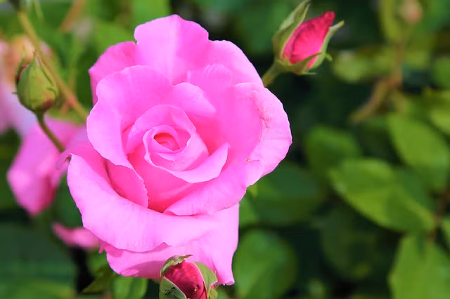 6 ngay sinh Am lich tot lanh, mang nhieu phuc phan nhat