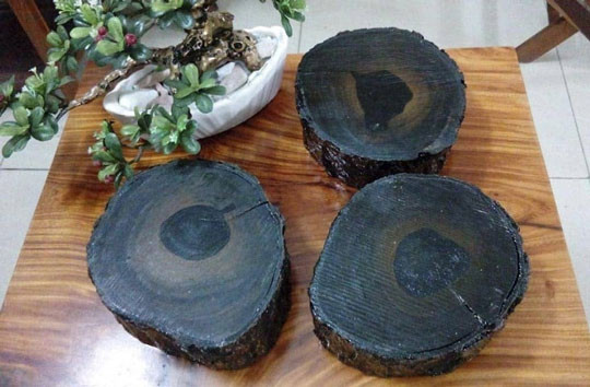 br/> 7. Gỗ Ebony - Gỗ mun. Gỗ Ebony có màu đen tuyền, có thể chìm trong nước, bề mặt gỗ nhẵn và mịn. Loại gỗ này thường được dùng để chế tạo nội thất sang trọng và các loại nhạc cụ như đàn ghi-ta, piano, violin… Các loài cây cho gỗ này hiện đều đứng trước nguy cơ bị đe dọa tuyệt chủng.