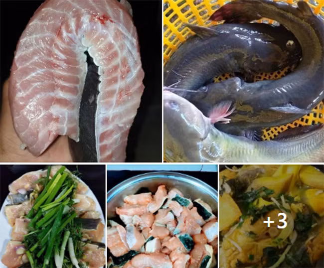 Loai ca tung tien Vua o Viet Nam dang duoc ban voi gia sieu re-Hinh-4