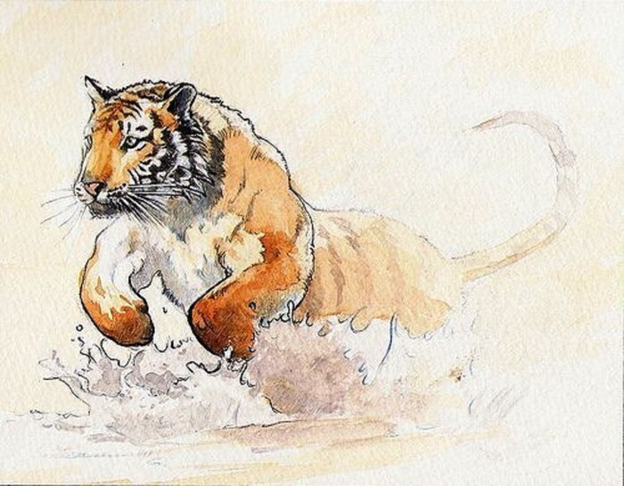 Con giap nao nen sinh con trong nam 2022 de kich tai loc-Hinh-3