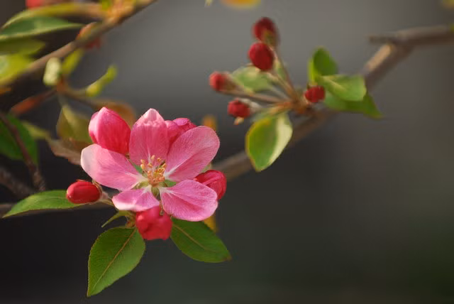 Con giap tai loc om tay trai, hy su bong tay phai tu cuoi thang 7-Hinh-3