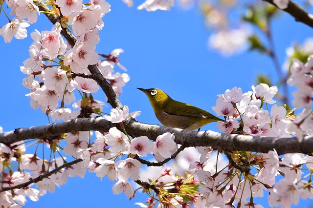 Con giap tai loc om tay trai, hy su bong tay phai tu cuoi thang 7