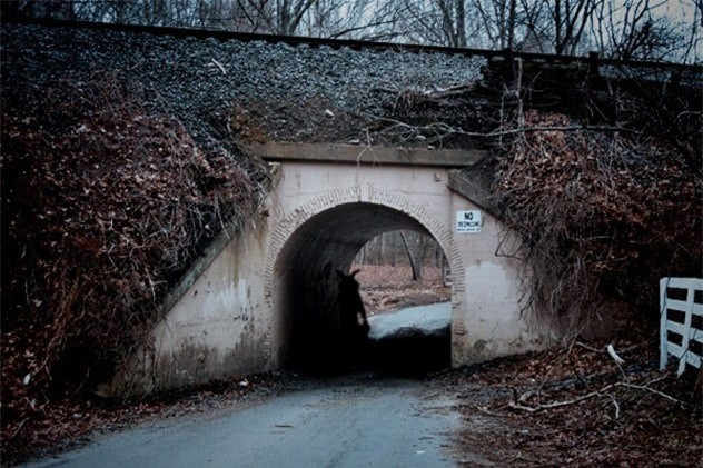 Nhung chuyen bi hiem co that, ai nghe xong cung 