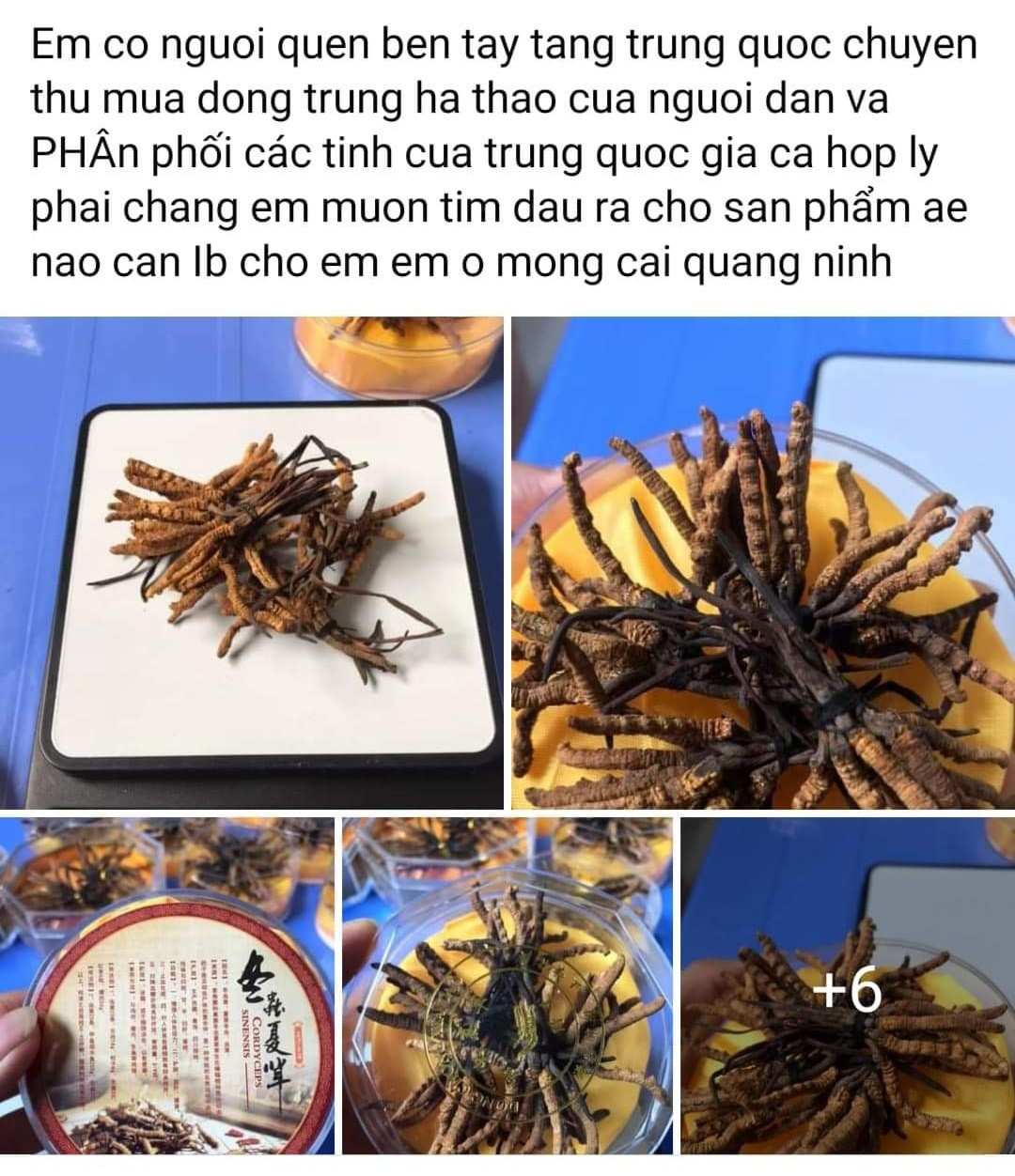 Thi truong dong trung ha thao no ro-Hinh-2