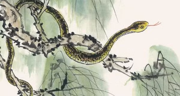  Tuổi Tỵ. Vận trình tài lộc của người tuổi Tỵ năm nay lên như diều gặp gió. Đã chịu khổ đủ qua ba năm “Tam tai”, năm 2022 là lúc bạn “cất cánh” cho những ước mơ của mình.