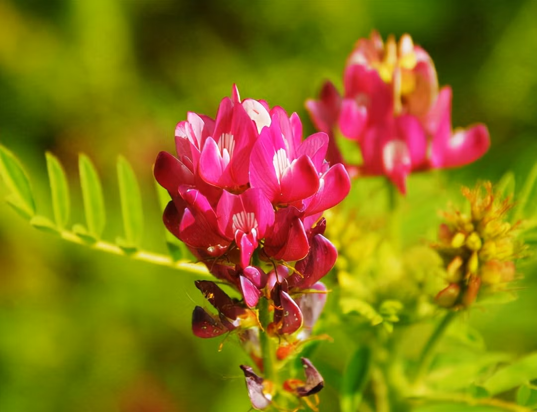 Sinh ngay Am lich nay, sang thang 9 su nghiep khoi sac, moi su hanh thong-Hinh-4