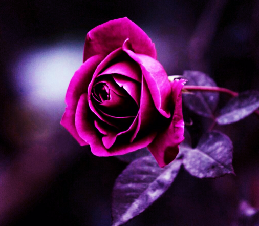 Sinh ngày Âm lịch này, sang tháng 9 sự nghiệp khởi sắc, mọi sự hanh thông - Hình 2 Sinh ngay Am lich nay, sang thang 9 su nghiep khoi sac, moi su hanh thong-Hinh-2