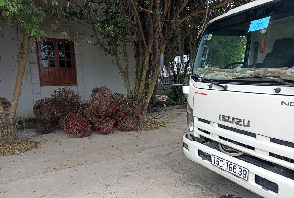 Lang dao Hai Duong nguy khon, rao ban gap 1.000 goc-Hinh-2