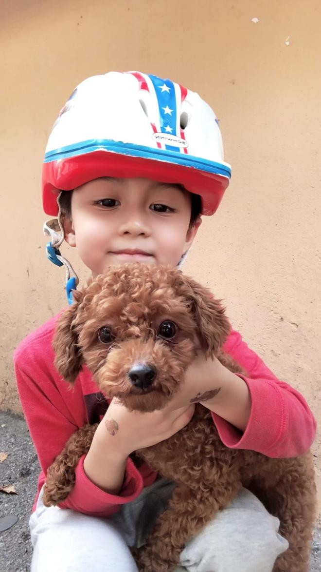 Con trai Huyền Lizzie càng lớn càng đẹp trai như hot boy - Hình 11 Con trai Huyen Lizzie cang lon cang dep trai nhu hot boy-Hinh-11