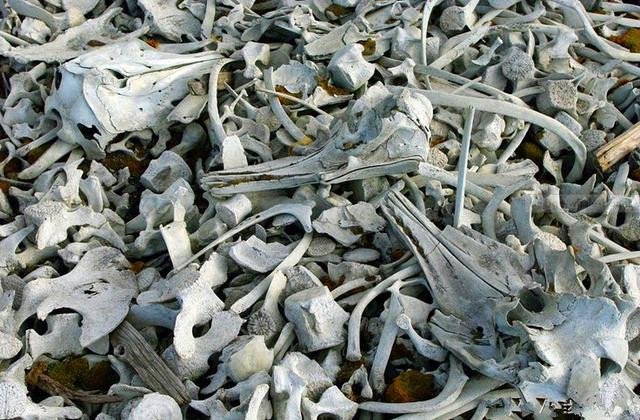 Xuong chat dong o bo bien, du khach bao canh sat lien nhan duoc lenh cam-Hinh-2