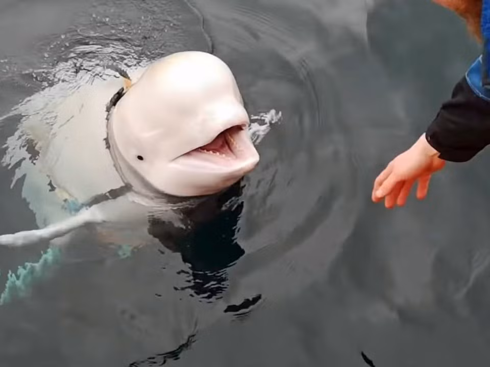 Xuong chat dong o bo bien, du khach bao canh sat lien nhan duoc lenh cam-Hinh-3