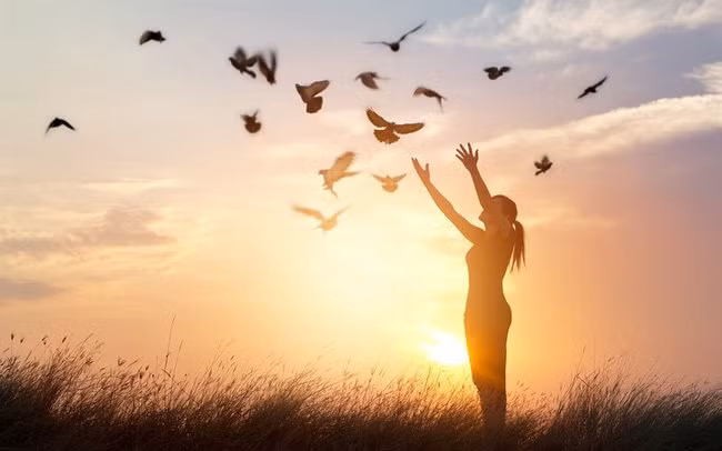 Ban da co duoc 3 thanh qua lon ma khong hay biet-Hinh-2