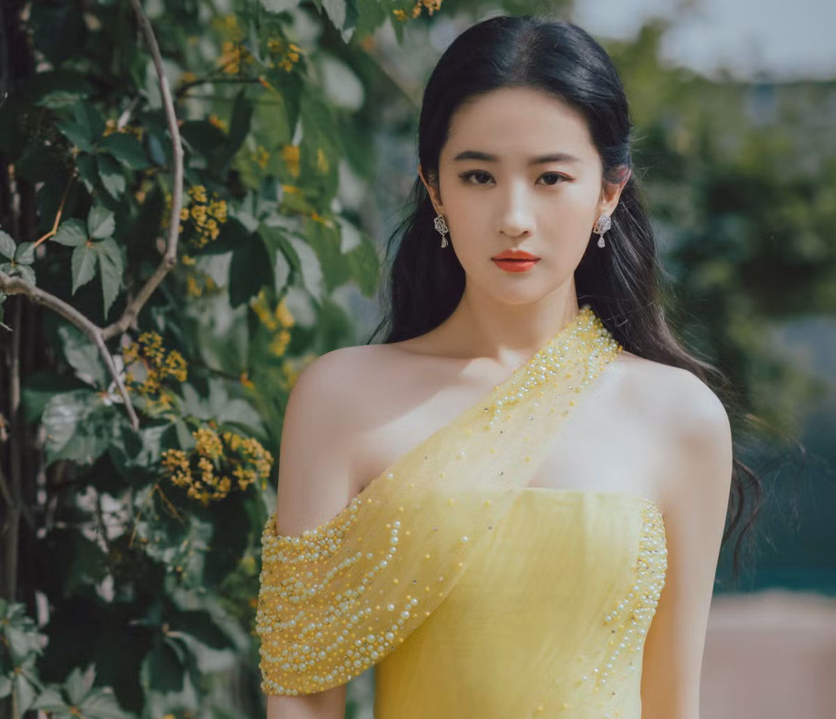 15 năm trôi qua, khán giả rất mong chờ Lưu Diệc Phi xuất hiện trên màn ảnh nhỏ. Vì vậy, trailer Mộng hoa lục đạt hơn 60 triệu view trên các nền tảng phát video. Tạo hình nhân vật Triệu Phán Nhi của Lưu Diệc Phi cũng được khen ngợi là đẹp lộng lẫy, dù cô vào vai người phụ nữ đã lấy chồng.