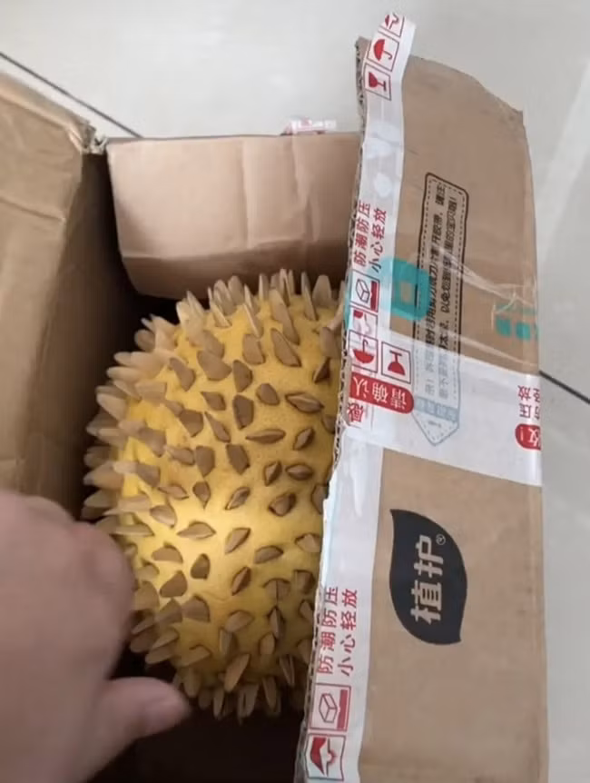 Dat qua sau rieng gia re tren mang, khach soc nang voi thu ben trong