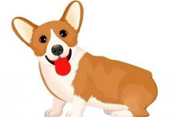 Và những người cầm tinh con Chó có thể rút ra một cái kết thành công cho bản thân từ tháng 11 đến cuối năm nay, bởi càng về cuối năm thì tài vận càng hanh thông, thậm chí còn gấp bội thu nhập của nửa đầu năm.