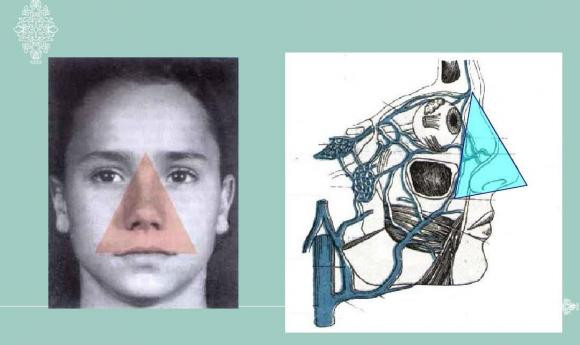 Be trai ngoay mui dua vi khuan vao nao, thoi xau doa giet nguoi-Hinh-4
