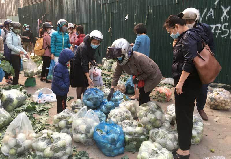 Cac loai hoa qua doi cho gia re hon rau, ban ca chuc tan/ngay-Hinh-3