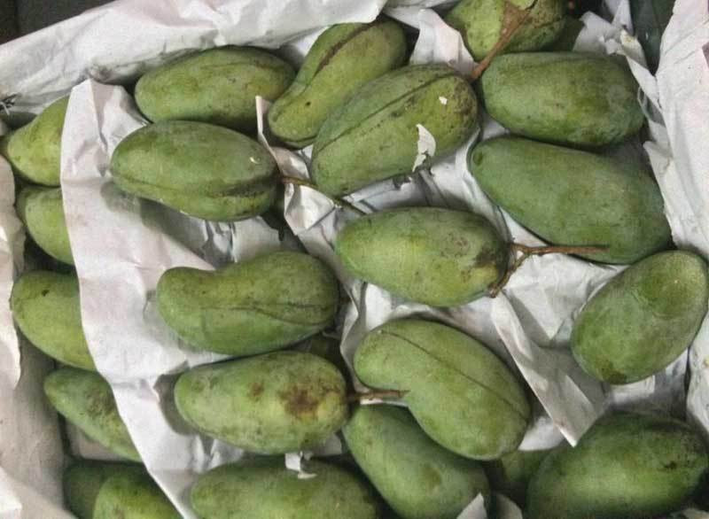 Cac loai hoa qua doi cho gia re hon rau, ban ca chuc tan/ngay-Hinh-2