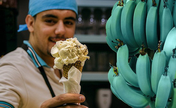 Giong chuoi xanh biec ki la tuong chi la photoshop nao ngo co that 100%-Hinh-4