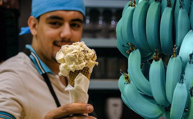 Giong chuoi xanh biec ki la tuong chi la photoshop nao ngo co that 100%-Hinh-4