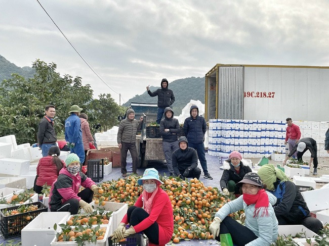 Chang trai 8X phu phep vung dat hoang thanh nong trai-Hinh-6