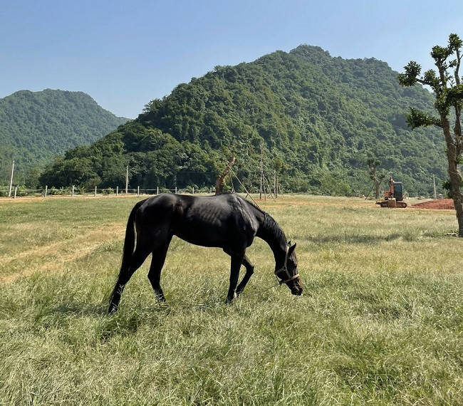 Chang trai 8X phu phep vung dat hoang thanh nong trai-Hinh-5