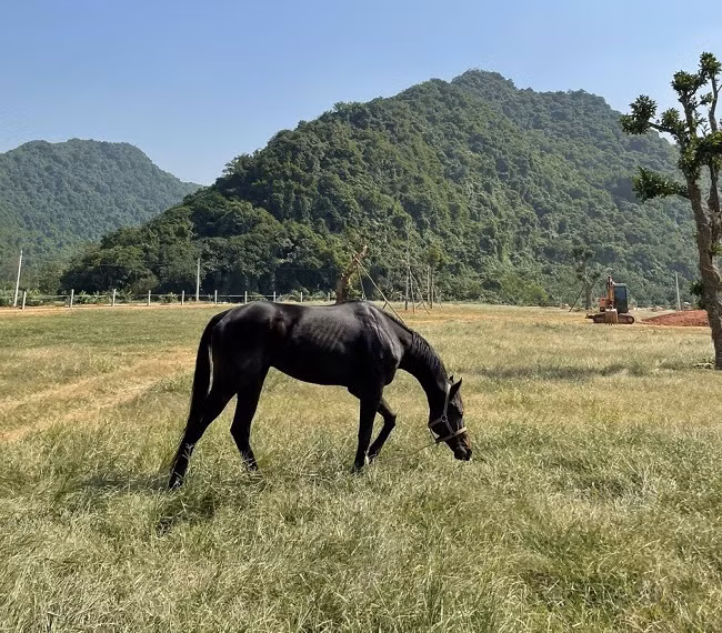 Chang trai 8X phu phep vung dat hoang thanh nong trai-Hinh-5