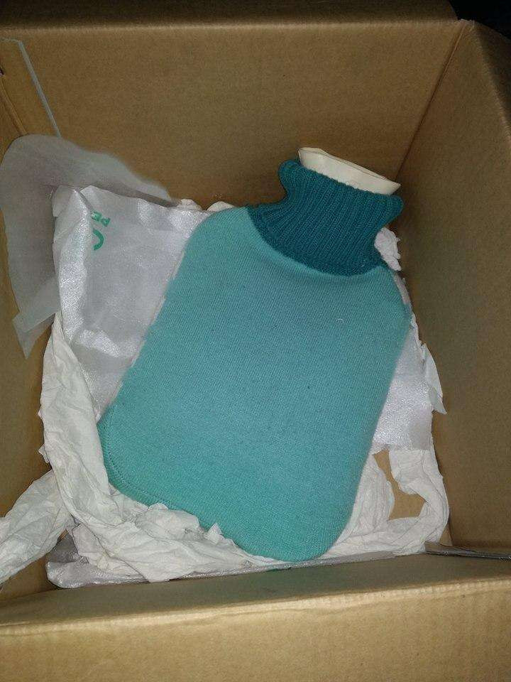 Nguoi dan ong tim duoc 5 con cho, sau do nhan ra chung khong phai cho-Hinh-5