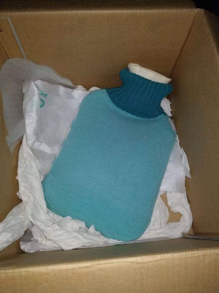 Nguoi dan ong tim duoc 5 con cho, sau do nhan ra chung khong phai cho-Hinh-5