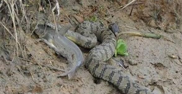 Thay mat nuoc bong xao dong, chang trai rung minh vi canh tuong truoc mat-Hinh-2