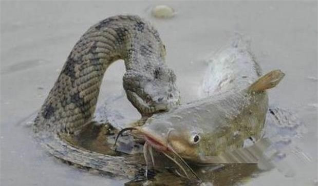 Thay mat nuoc bong xao dong, chang trai rung minh vi canh tuong truoc mat